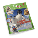 Titelbild der Kinderzeitschrift „GEOlino“, Ausgabe Nr. 3/2025, dominiert von einer Nahaufnahme mehrerer Adélie-Pinguine auf Schnee mit roter Überschrift „Adélie-Pinguine – Warum den Vögeln besser niemand zu nah kommen sollte“. Oberer Rand mit grünem Hintergrund, Logo „GEOlino“ und Beiträgen u. a. „Checker Tobi – Das alte Rom“, „Schlag auf Schlag“, „Aufgetischt – Warme Tacosuppe“. Unten ein Bild eines Eishockey spielenden Mädchens mit Text über ein neunjähriges Mädchen im Jungenteam.