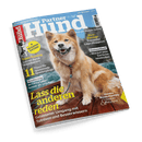 Titelblatt der Zeitschrift „Partner Hund“, Ausgabe Juni 2025, mit einem rotbraunen, struppigen Hund mit dunkler Schnauze und heller Brust zentral auf dem Cover, davor Leine sichtbar, Hintergrund Holzterrasse und Wasser. Schlagzeilen u. a.: „Lass die anderen reden“, „11 Tipps für spannende Spaziergänge“, „Ernährung – Ist Fertigfutter besser als sein Ruf?“, „Rasse-Porträts: Eurasier & Stabijhoun“ sowie „Gesundheit – Woran üble Gerüche hindeuten“.