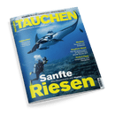 Titelbild der Zeitschrift „TAUCHEN“ mit einem Unterwasserfoto, das eine tauchende Person in voller Ausrüstung sowie einen darüber schwimmenden Manta-Rochen zeigt; im Hintergrund ein Meeresboden mit Felsen; prominente Aufschrift in Gelb und Weiß: „Sanfte Riesen – Alles Wissenswerte über Mantas“; weitere sichtbare Themen: Reisen, Medizin, Kwazulu-Natal, Tests & Tipps; Ausgabe Nr. 6, Juni 2025.