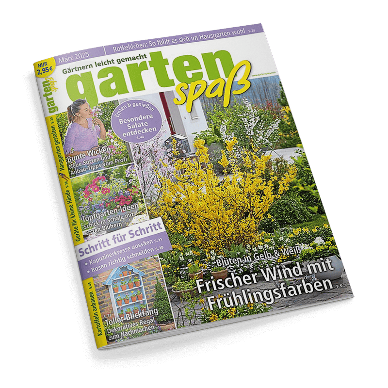 Titelbild der Gartenzeitschrift „gartenspaß“, Ausgabe März 2025, mit gelb blühender Forsythie und weißer Blütenpracht in einem angelegten Frühlingsgarten vor blauem Himmel; Schlagzeilen u. a.: „Frischer Wind mit Frühlingsfarben“, „Blüten in Gelb & Weiß“, „Bunte Wicken – Neue Sorten und Anbau-Tipps vom Profi“, „Topfgarten-Ideen“, „Schritt für Schritt – Kresse aussäen, Rosen schneiden“, „Besondere Salate entdecken“ und „Toller Blickfang – dekoratives Regal zum Nachmachen“.