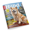 Titelbild des Magazins „Partner Hund“, Ausgabe Juni 2025, zeigt einen mittelgroßen, hellbraunen Hund mit weißer Schnauze und Brust, sitzend auf einer hölzernen Terrasse vor blauem Wasser, mit türkisfarbener Leine um den Hals. Texte auf dem Cover u. a.: „Lass die anderen reden“, „11 Tipps für spannende Spaziergänge“, „Ist Fertigfutter besser als sein Ruf?“ und „Gesundheit – Worauf üble Gerüche hindeuten“.