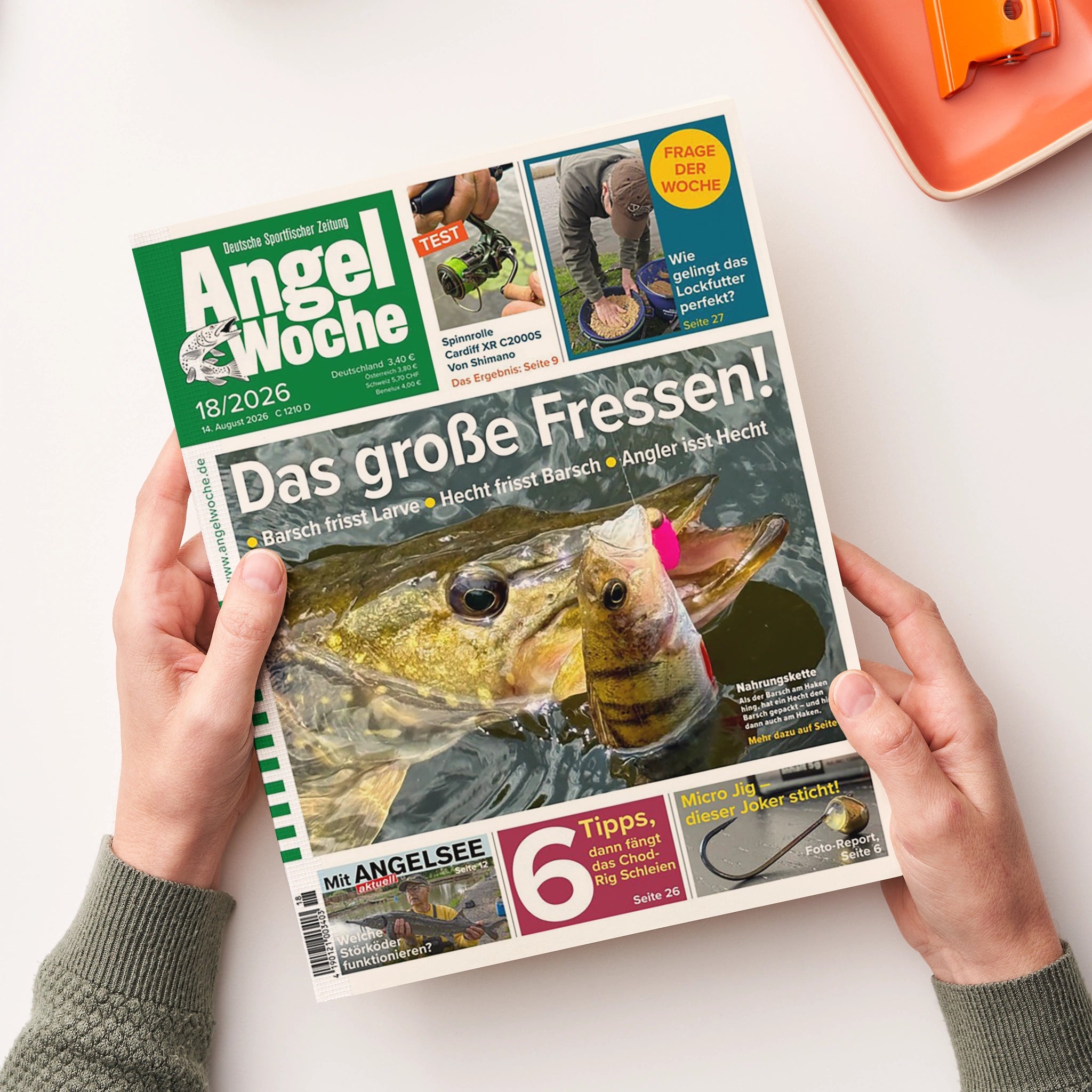 AngelWoche, eine deutschsprachige Sportfischer-Zeitung, wird von zwei Händen über einer weißen Fläche gehalten. Das Cover zeigt grüne und blaue Gestaltung, mehrere Fische im Wasser sowie die Texte „Deutsche Sportfischer Zeitung“, „Angel Woche“, „Das große Fressen!“, „Barsch frisst Larve“, „Hecht frisst Barsch“, „Angler isst Hecht“, „Frage der Woche“ und „Wie gelingt das Lockfutter perfekt?“.