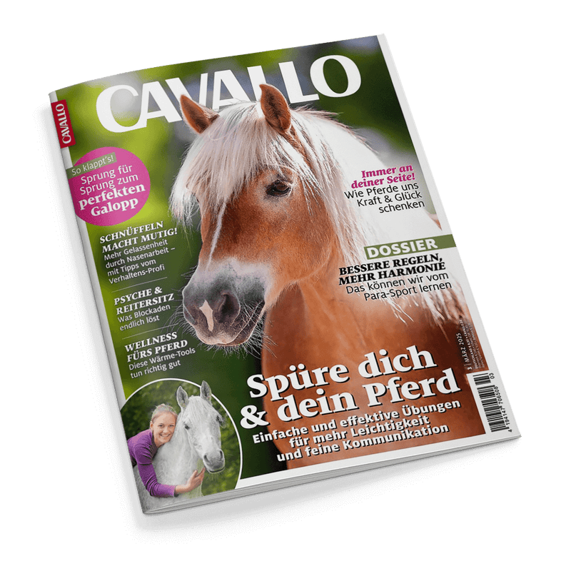 Titelbild der Zeitschrift „CAVALLO“ mit großem Foto eines braunen Pferdes mit heller Mähne im Vordergrund; Text: „Spüre dich & dein Pferd – Einfache und effektive Übungen für mehr Leichtigkeit und feine Kommunikation“, oben rechts Hinweis auf ein Dossier zu Para-Sport, links mehrere Themen wie „So klappt’s! Sprung zum perfekten Galopp“, „SCHNÜFFELN macht mutig!“, darunter kleines Foto einer lächelnden weiblichen Person mit weißem Pferd.