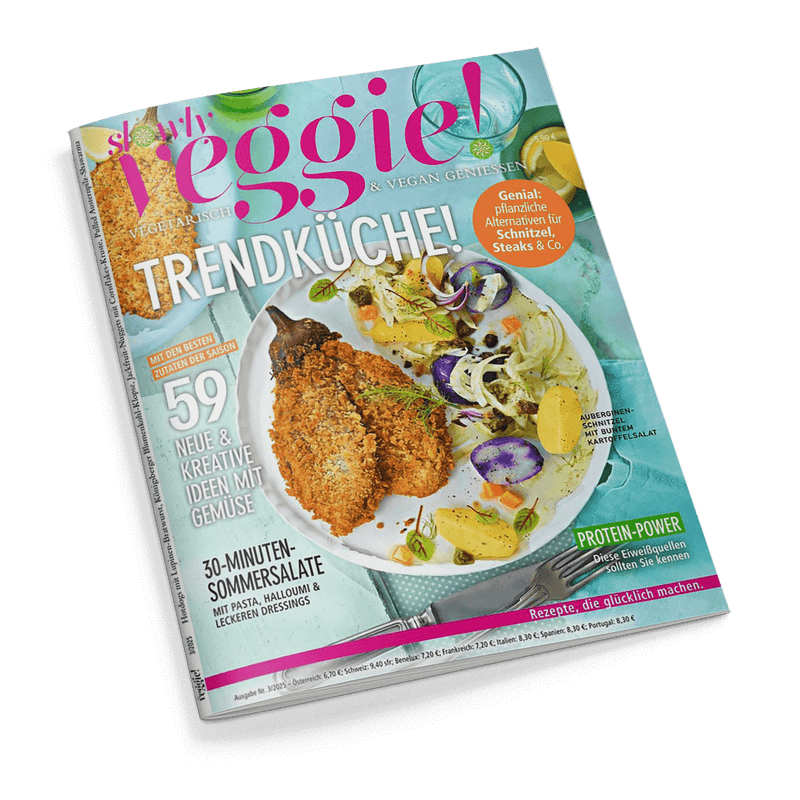 Titelbild der Zeitschrift „slowly veggie! Vegetarisch & vegan genießen“, Ausgabe Nr. 3/2025; zentrale Abbildung zeigt einen weißen Teller mit paniertem Gemüse und buntem Kartoffelsalat auf türkisfarbenem Untergrund, daneben Text wie „Trendküche!“, „59 neue & kreative Ideen mit Gemüse“, „30-Minuten-Sommersalate“ und Hinweis auf „pflanzliche Alternativen für Schnitzel, Steaks & Co.“; farbige Textfelder in Pink, Orange, Grün und Weiß heben Themen hervor.