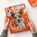 Orangerotes DOGS-Magazin mit dem Titel „dogs“ und „DOGS today“, frontal von einer nicht näher erkennbaren Person mit zwei Händen gehalten. Das Cover zeigt einen braun-grau-weißen Hund mit aufgerichteten Ohren sowie die Texte „TEST: Wie schlau ist Ihr Hund?“, „VAGUSNERVY“, „MOLVENO-SEE“ und „Ins HERZ gespielt“.