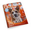 Schräg fotografiertes, orangefarbenes Magazincover von „dogs“ aus glänzendem Papier mit zentralem Porträt eines braun-weiß-grauen Hundes mit aufgerichteten Ohren vor orange-weißem Muster. Sichtbare Texte: „DOGS today“, „VOM GLÜCK MIT HUNDEN“, „TEST Wie schlau ist Ihr Hund?“, „GROSSES EXTRA“, „VAGUSNERV“, „MOLVENO-SEE“ und „HINTER DEN KULISSEN“.