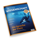 Titelblatt der Zeitschrift „Bild der Wissenschaft“ Ausgabe 06/2025 mit blau-orangefarbenem Layout. Abgebildet sind mehrere Orcas unter Wasser in unterschiedlichen Tiefen, von oben von Lichtstrahlen erhellt. Haupttitel in gelber Schrift: „Die Sprache der Tiere“, Untertitel erläutert den Einsatz künstlicher Intelligenz in der Biologie. Weitere Texte: „Wasserstoff – Der große Umbau“, „Glasriesen gefunden“, „Starke Kellnerin“, „Biogas-Anlagen“.