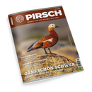 Schräg fotografiertes Magazincover „PIRSCH“ mit weißem Baumlogo und dem Schriftzug „RESPEKT VOR DEM WILDEN. SEIT 1879.“; darauf eine orangebraune Gans mit hellem Kopf, schwarzem Schnabel und weißen Flügelpartien auf einem Felsen vor unscharfem Naturhintergrund. Sichtbare Titel: „WASCHBÄREN“, „AUFBRUCHSTIMMUNG“ und „GANS SCHÖN SCHWER – DIE JAGD AUF GÄNSE IST NICHT OHNE“.